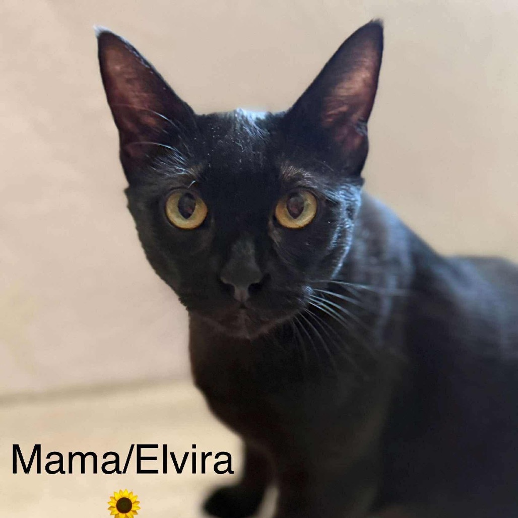 Elvira (Mom)