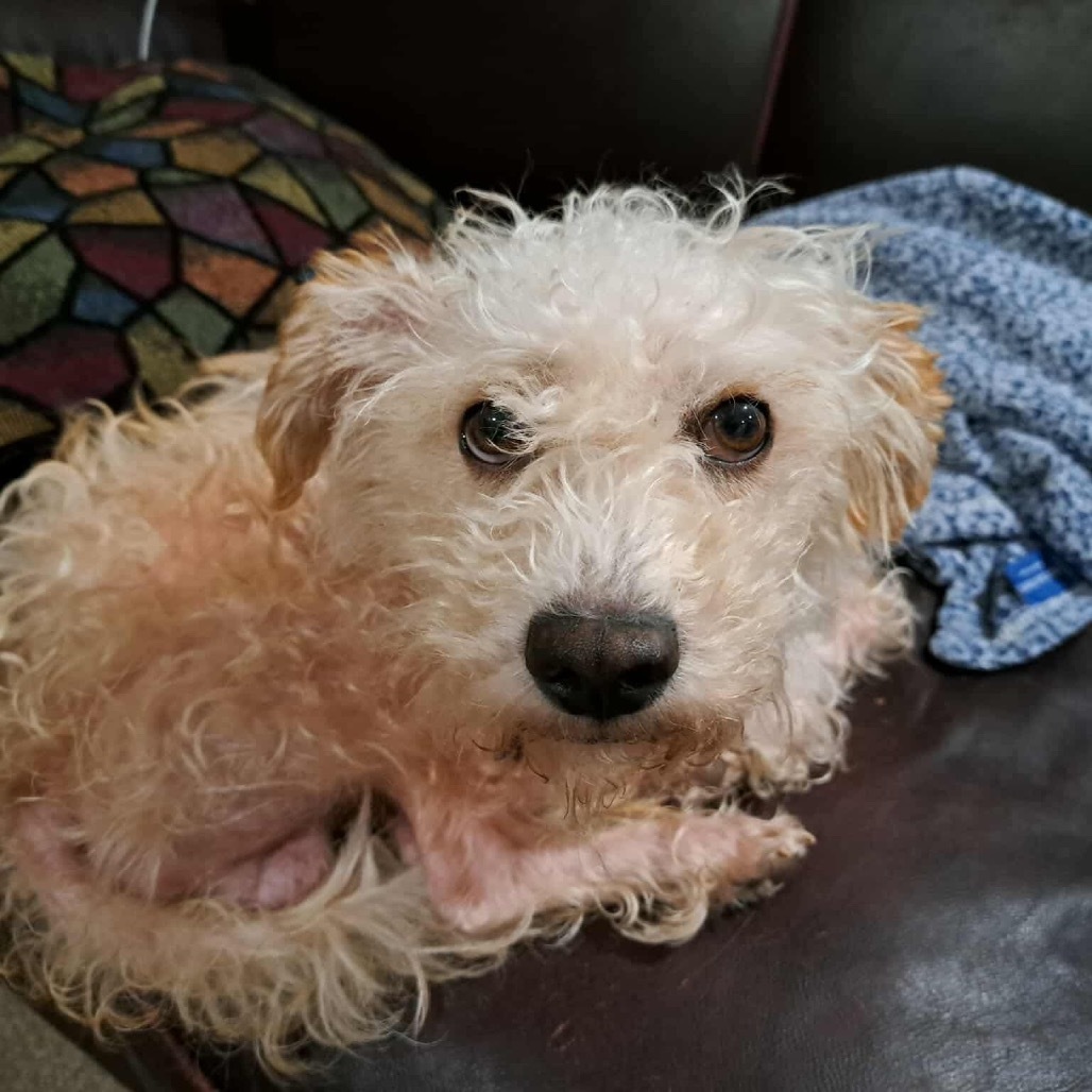Coco