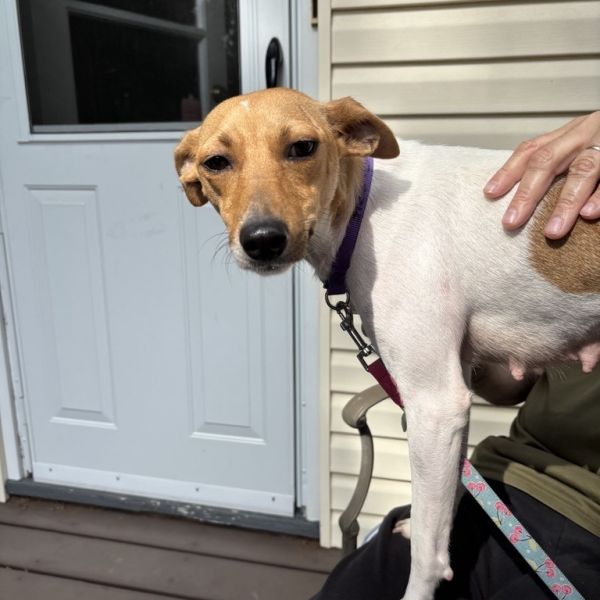 Tinkerbell thumbnail 5