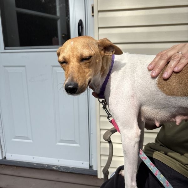 Tinkerbell thumbnail 6