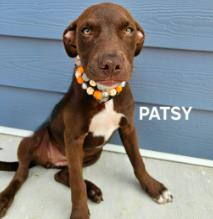 Patsy