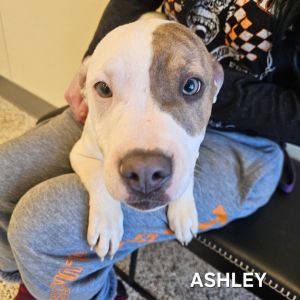 Ashley