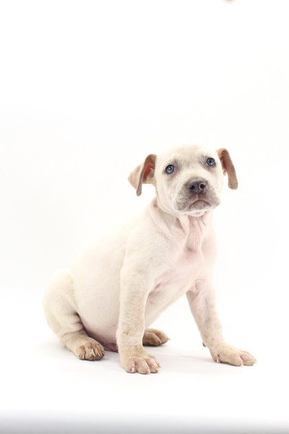 Alistair thumbnail 2