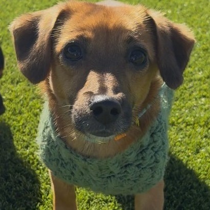 Maggie
