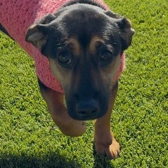 Winnie