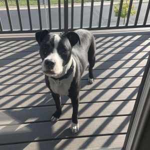 Max - Home to Home