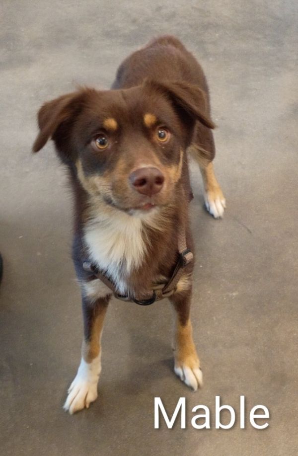 Mable