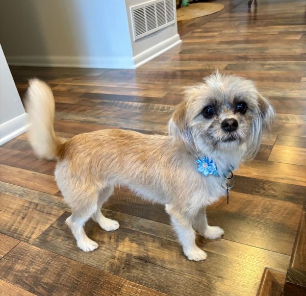 Stella Nj thumbnail 2