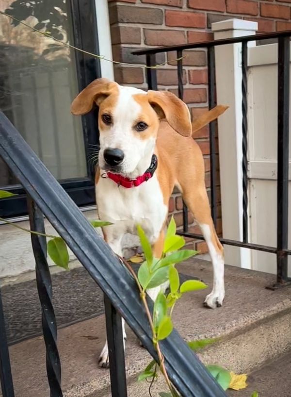 Bodie  B Litter thumbnail 2