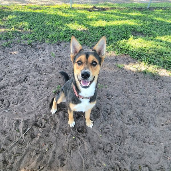 Max