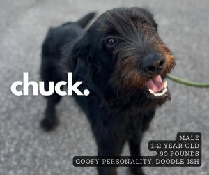 Chuck