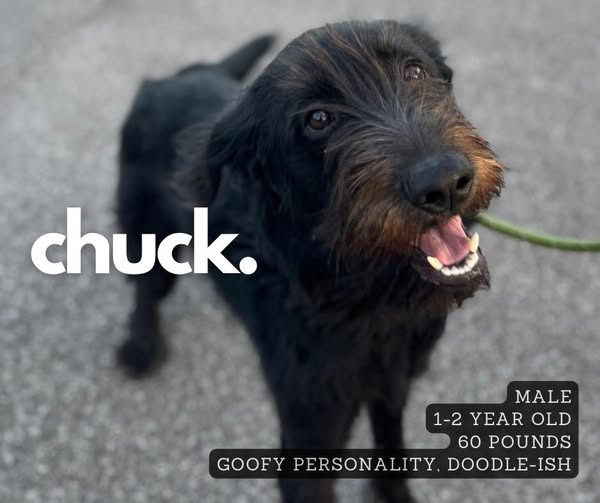 Chuck
