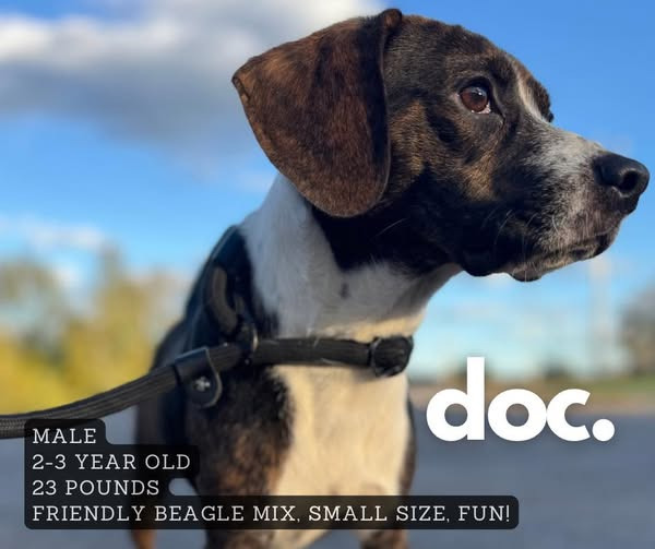 Doc