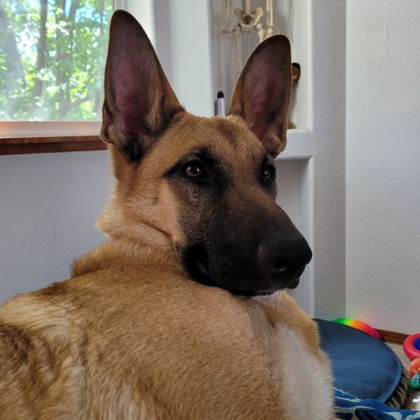 Lily