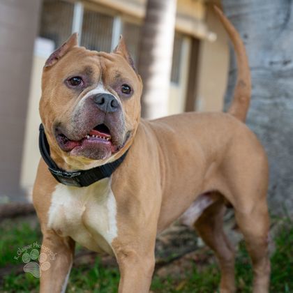 Zeke