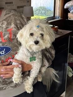 Milo