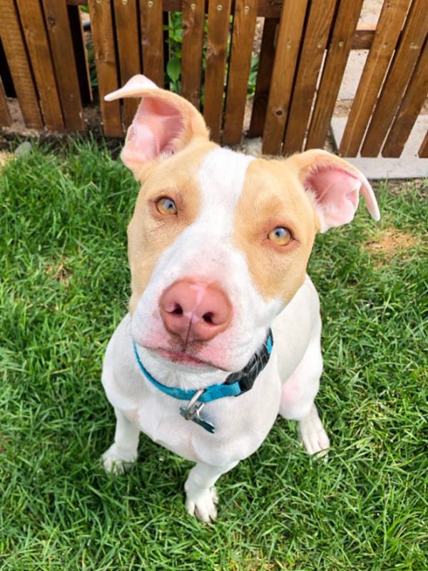 Roulette thumbnail 2