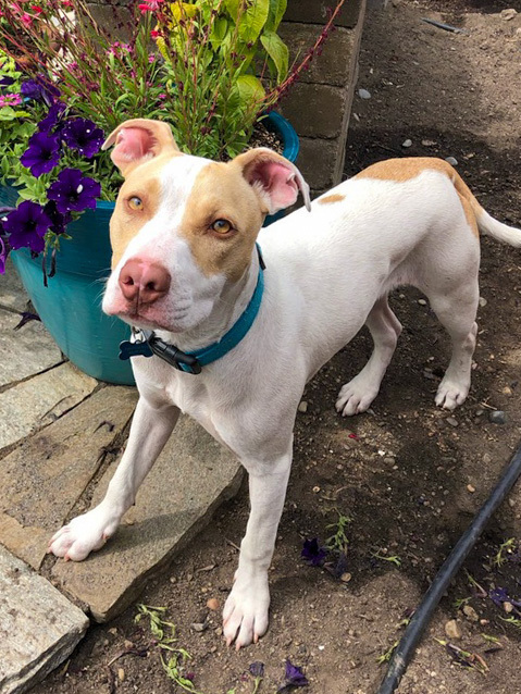 Roulette thumbnail 3