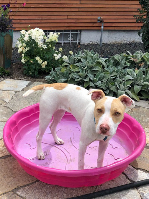 Roulette thumbnail 4