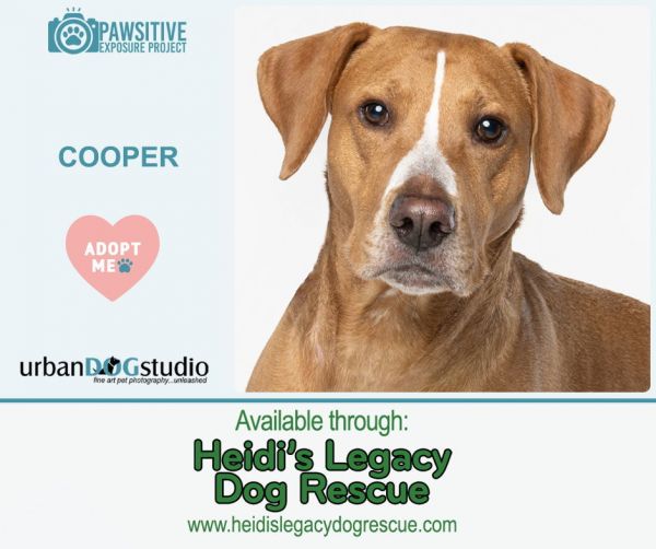 Cooper  M