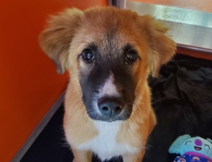 Ellie