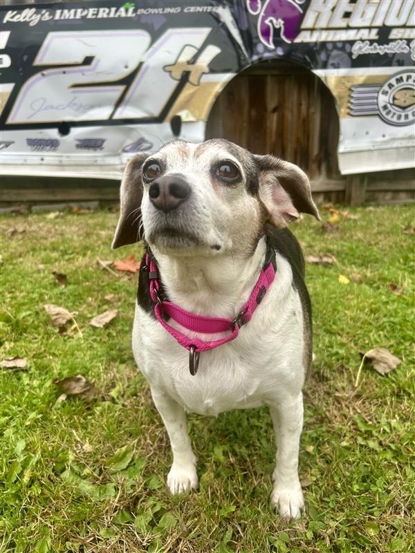 Maggie