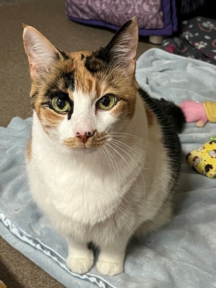 Sophie