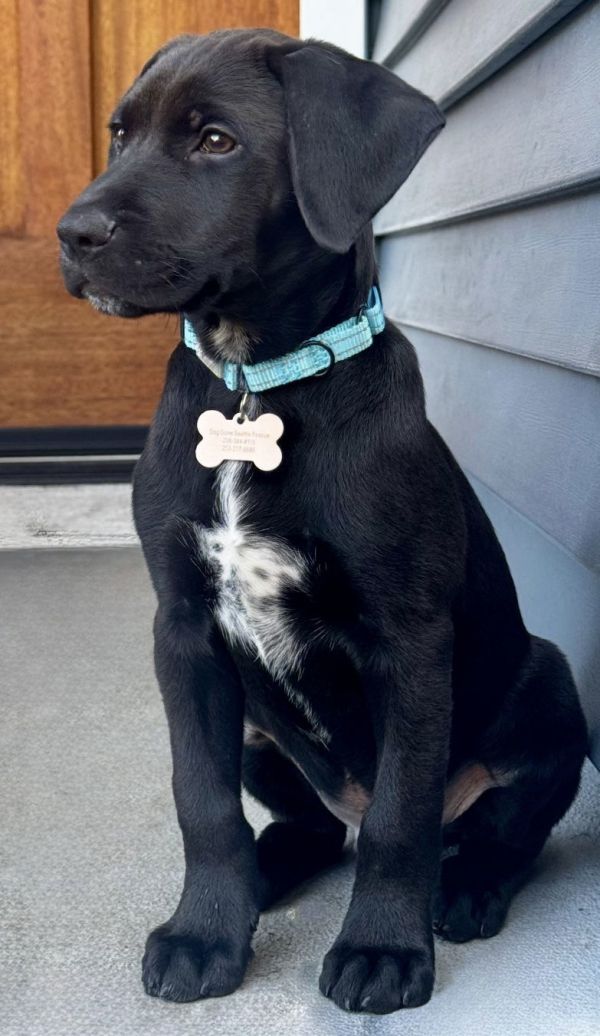 Rolo (Maui)