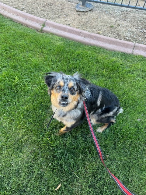 BANDIT #9