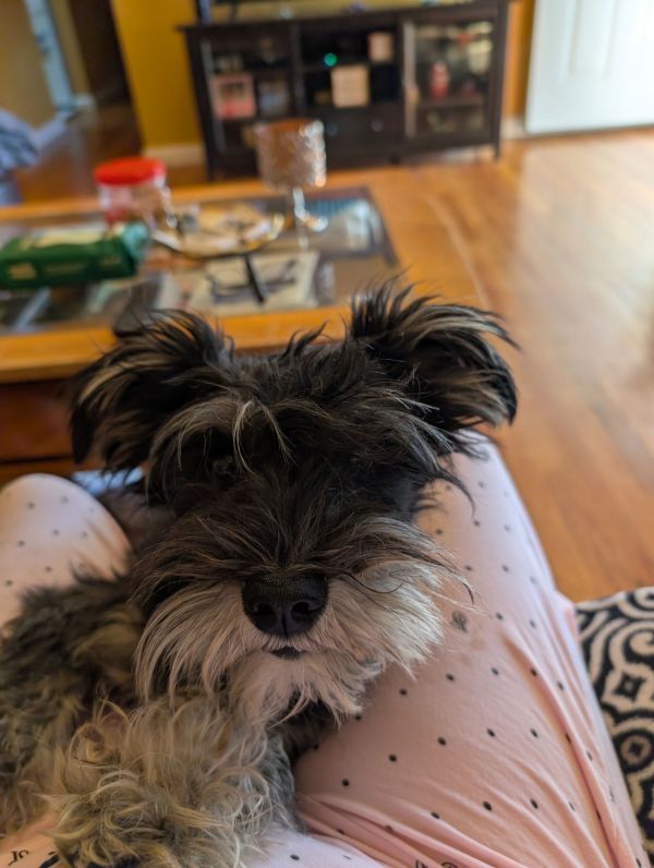 Etta
