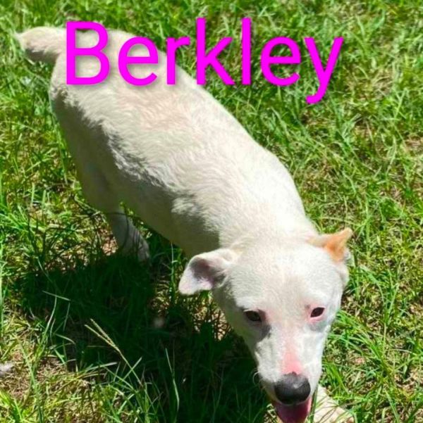 Berkley