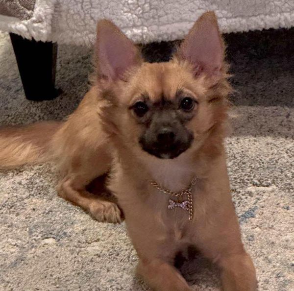 Bella