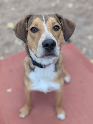Roxy