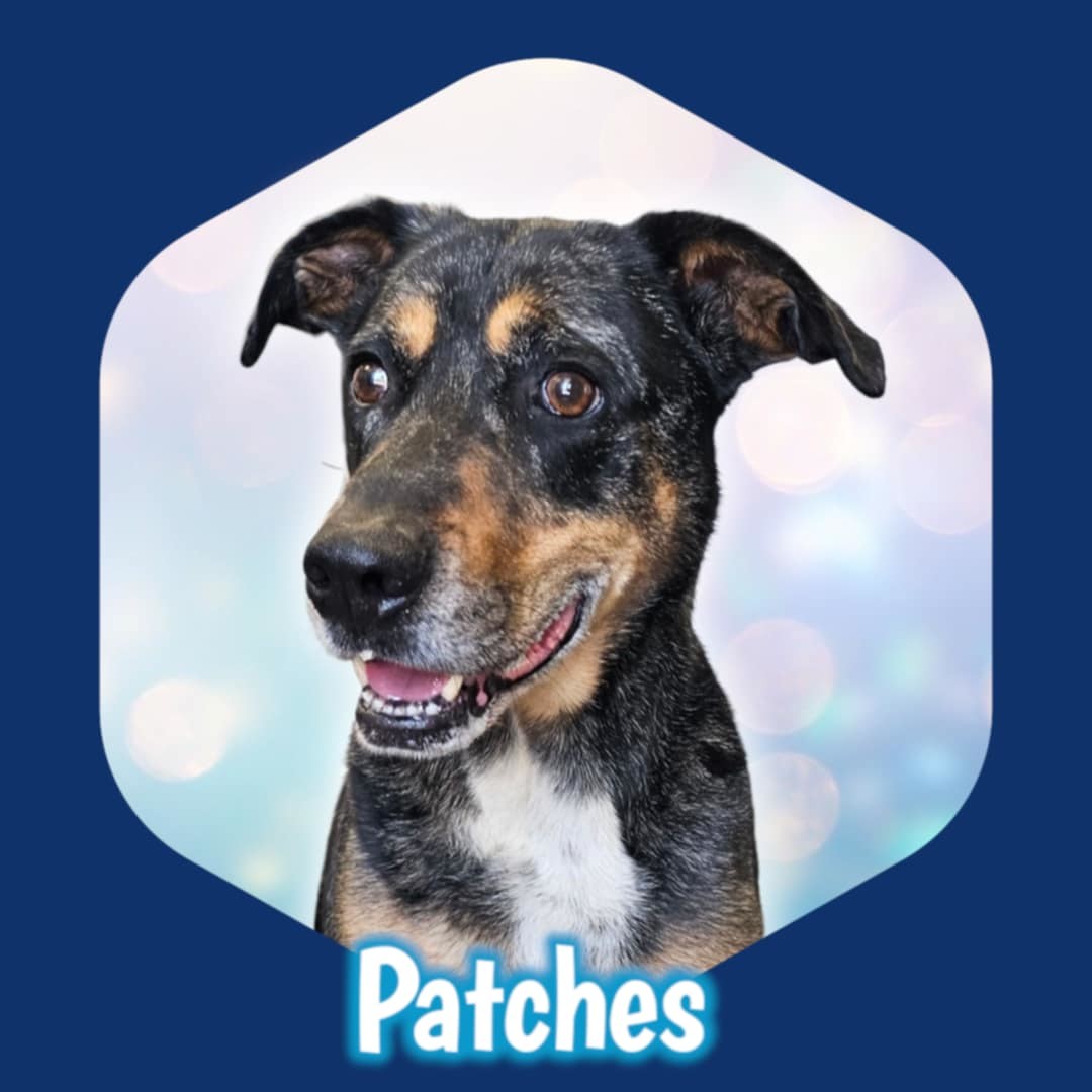 Patches