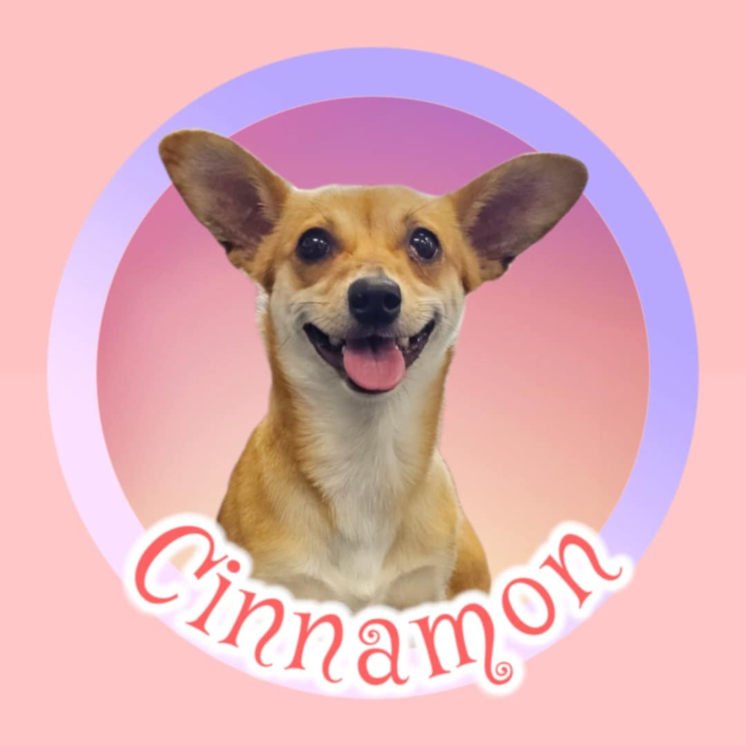 Cinnamon