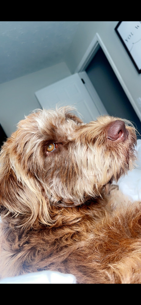 Gemma Doo thumbnail 2