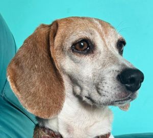 MJ - Fostered in SE Nebraska