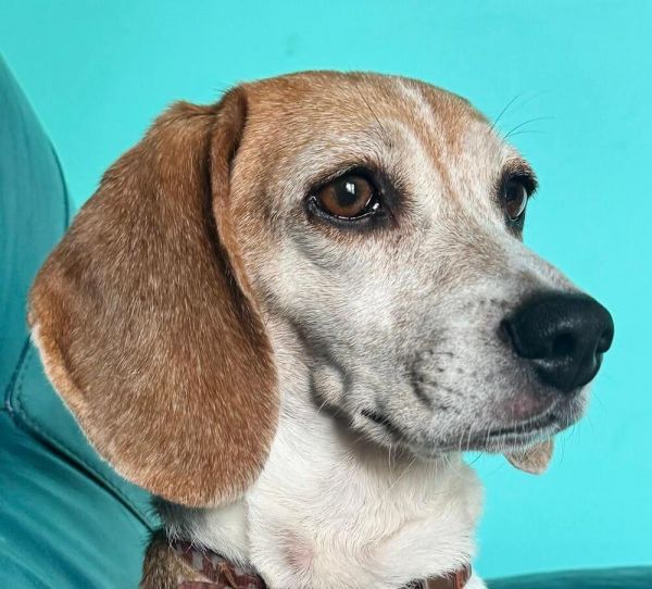 MJ - Fostered in SE Nebraska