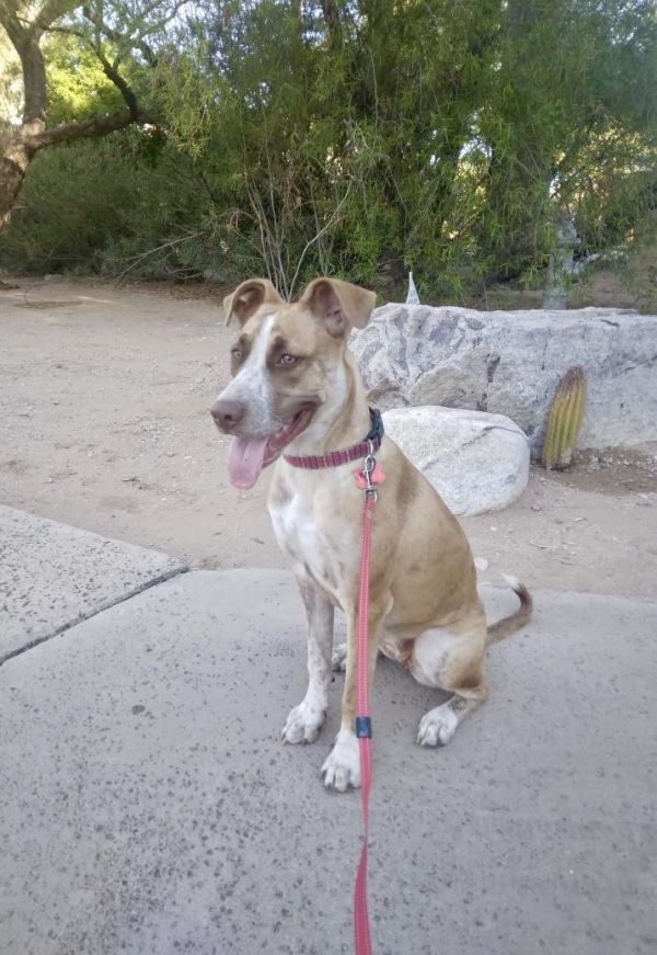 Kali