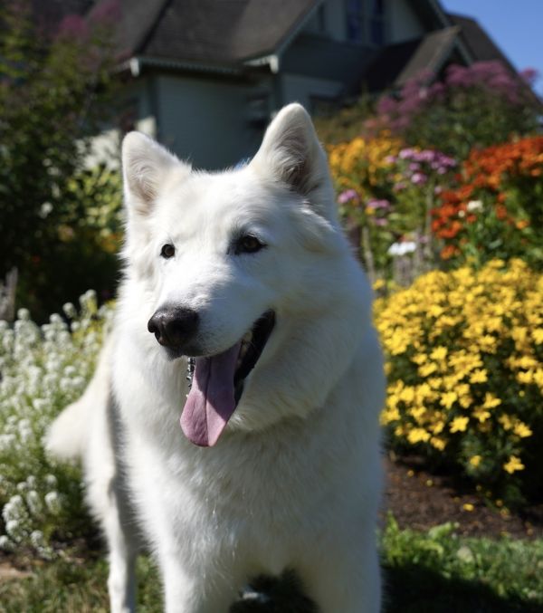 Marley