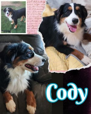 Cody