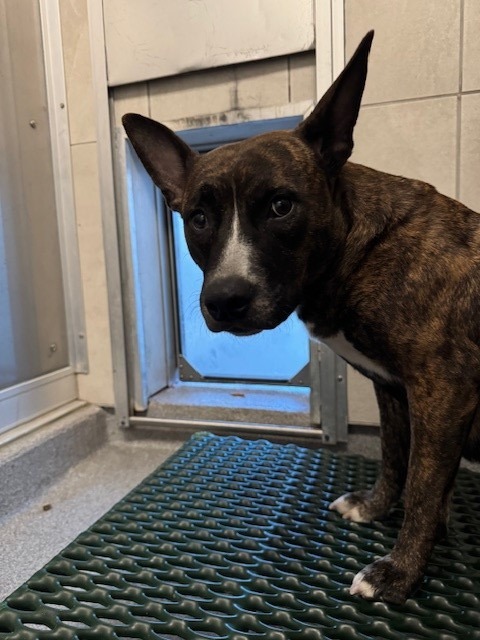 Clove Yrly thumbnail 3