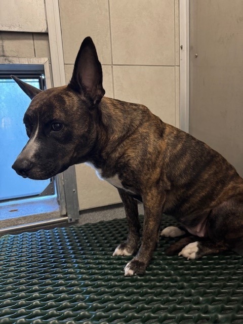 Clove Yrly thumbnail 4