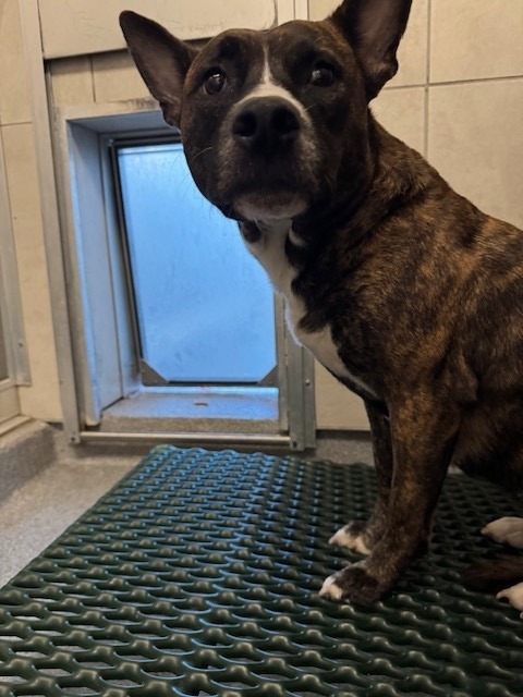 Clove Yrly thumbnail 5