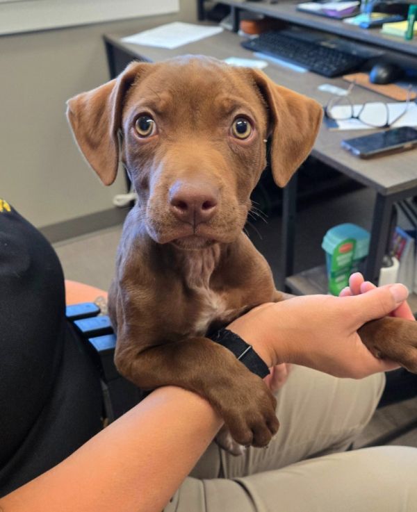 Tootsie Yrly thumbnail 2