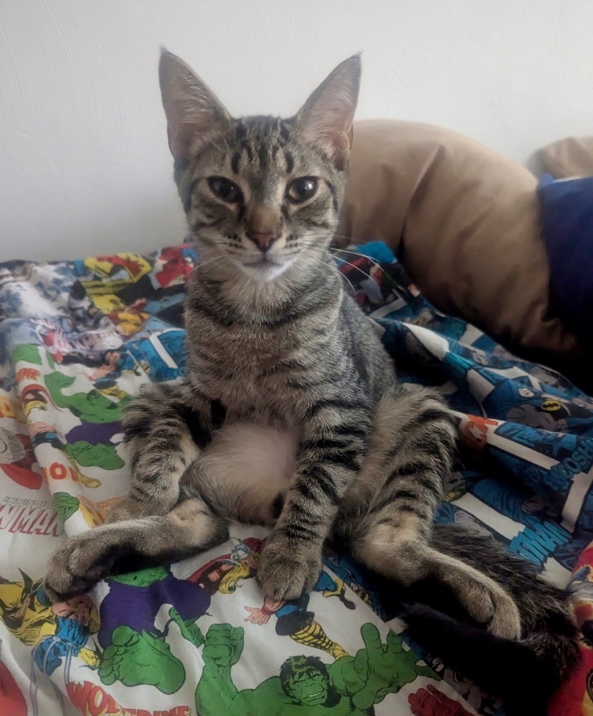 Gia
