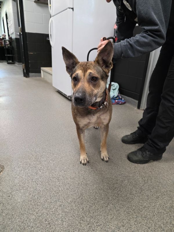 Brooklyn thumbnail 2