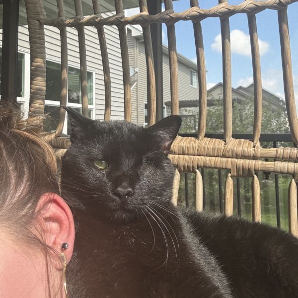 Barbossa thumbnail 2