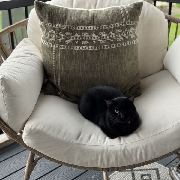 Barbossa thumbnail 5