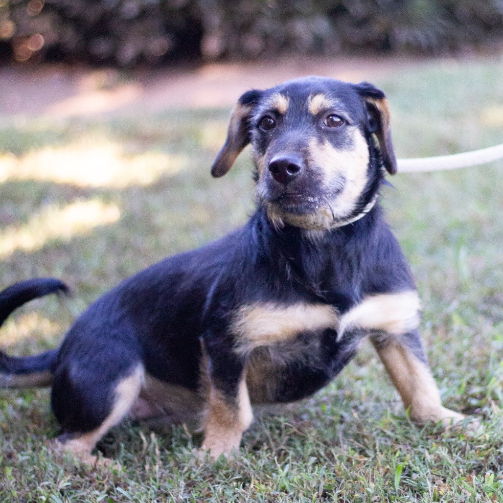 Mrs. Longbottom 21746